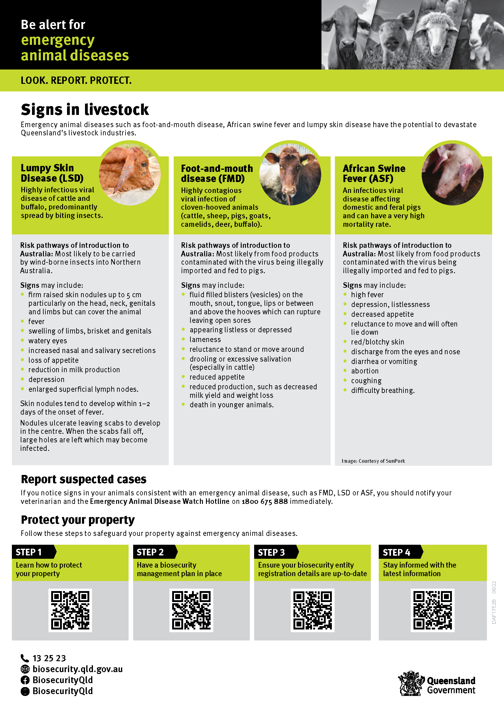 1752b ead signs in livestock factsheet v8 web 002